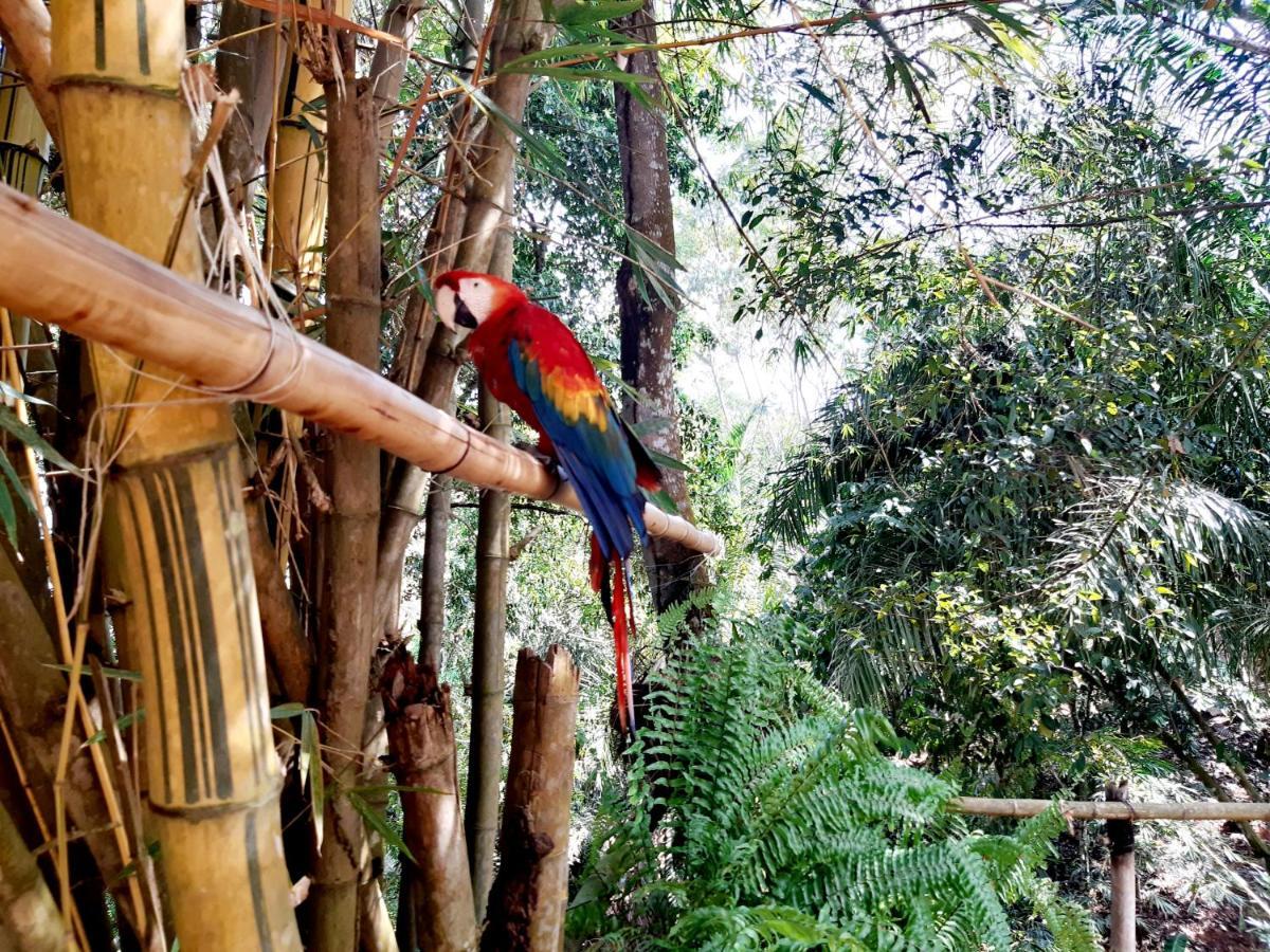Casa Campo Emaus Caucasia Екстер'єр фото